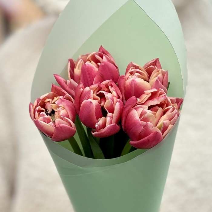 5 розовых тюльпанов Коламбус в упаковке