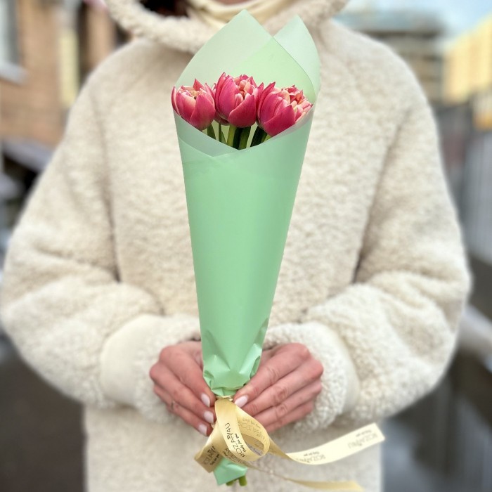 5 розовых тюльпанов Коламбус в упаковке