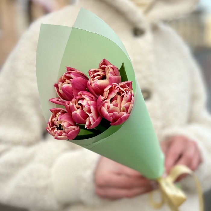 5 розовых тюльпанов Коламбус в упаковке