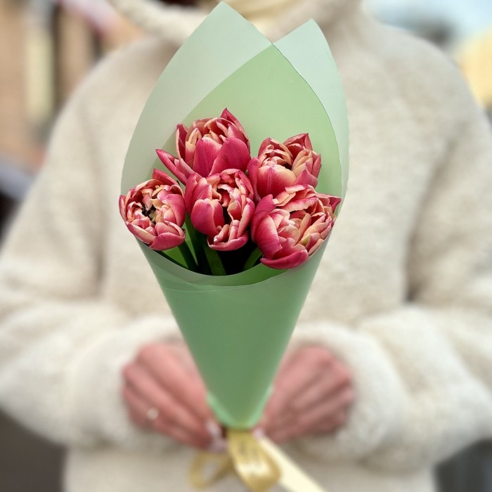 5 розовых тюльпанов Коламбус в упаковке