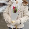 5 тюльпанов в упаковке