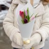 5 тюльпанов в упаковке