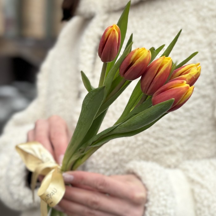 5 красно-желтых тюльпанов Денмарк