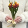 5 красно-желтых тюльпанов Денмарк