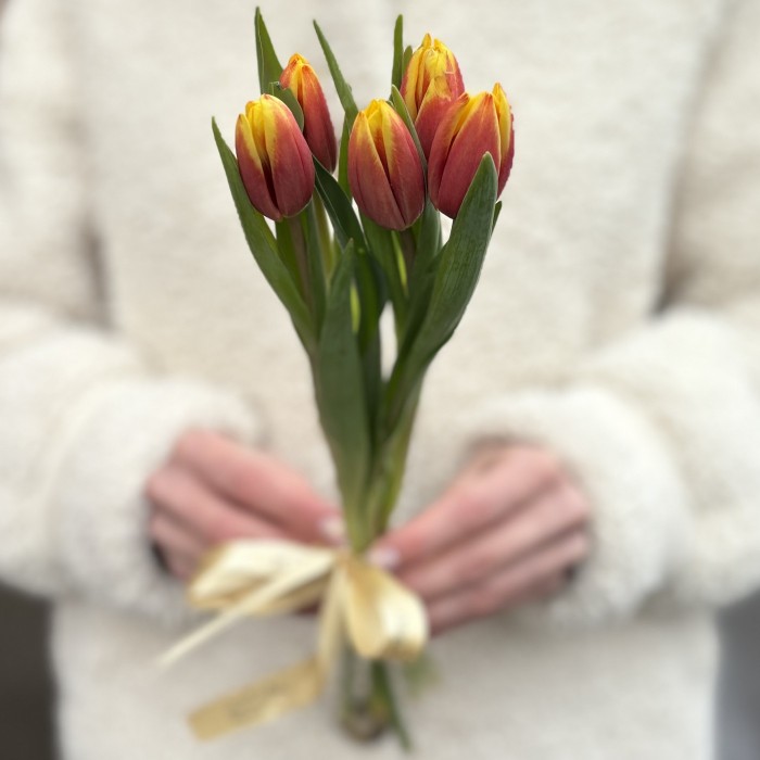 5 красно-желтых тюльпанов Денмарк