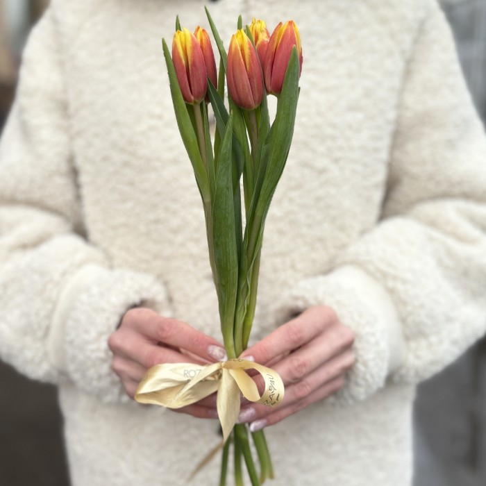 5 красно-желтых тюльпанов Денмарк