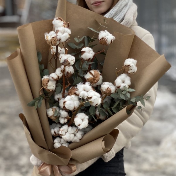 5 веток хлопка с эвкалиптом