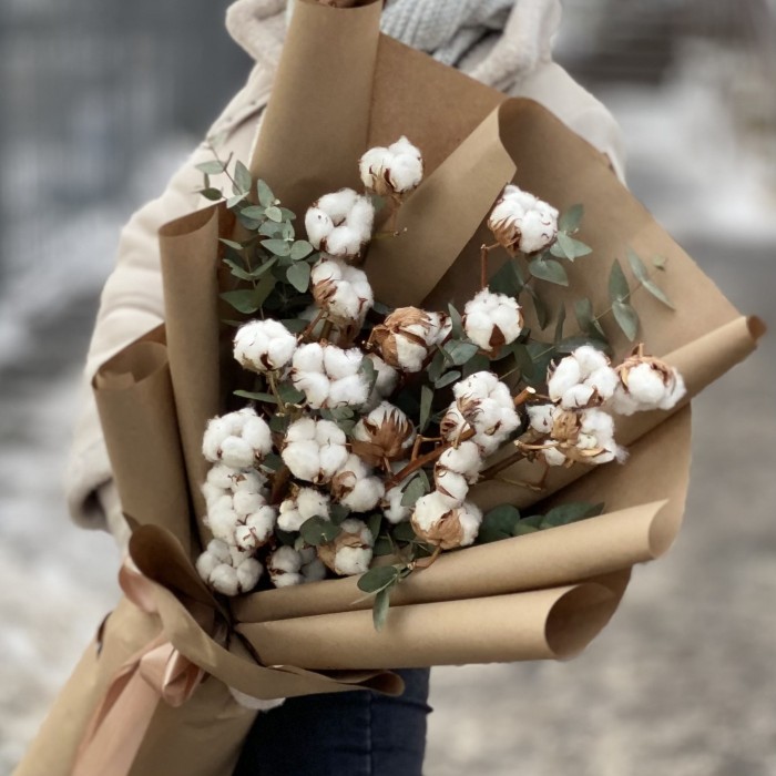 5 веток хлопка с эвкалиптом