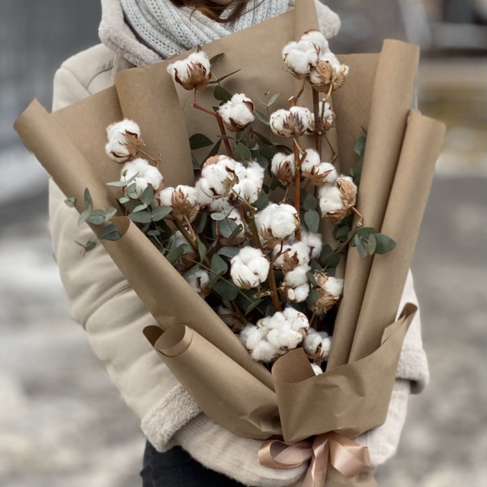 5 веток хлопка с эвкалиптом