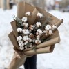 5 веток хлопка с эвкалиптом