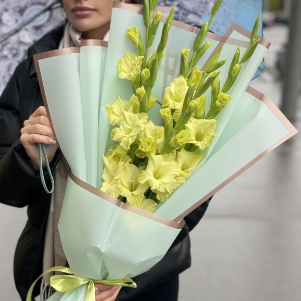 5 зеленых гладиолусов