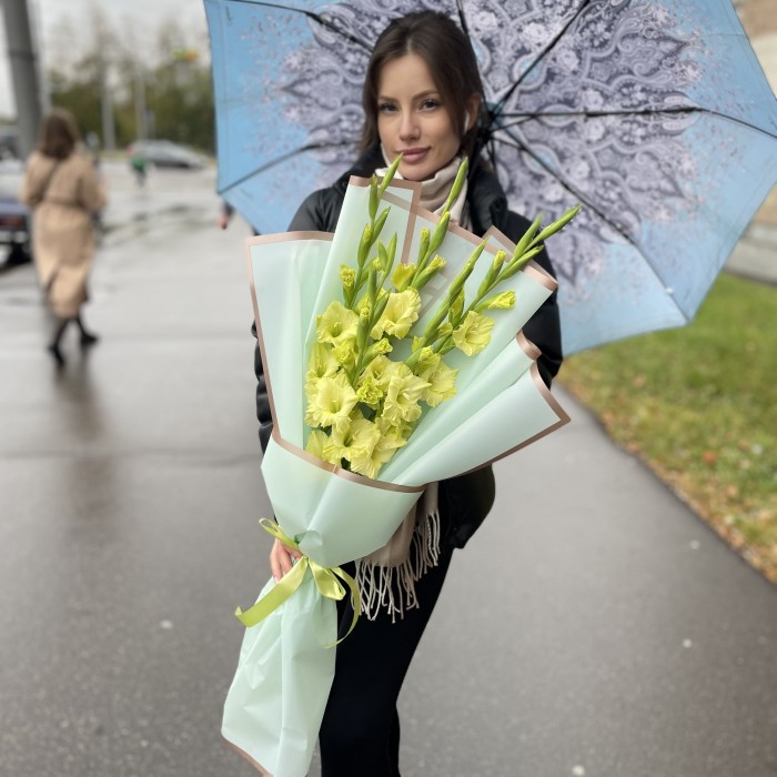 5 зеленых гладиолусов