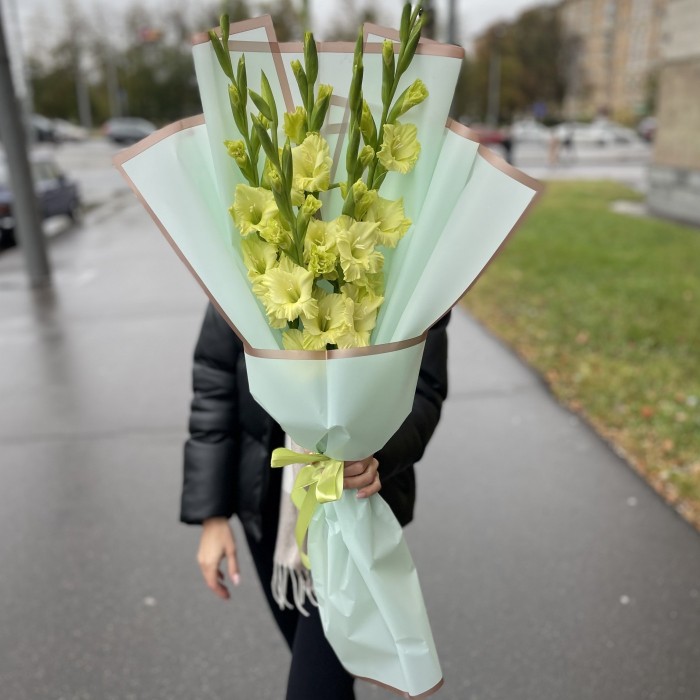5 зеленых гладиолусов