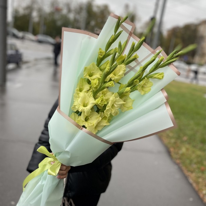 5 зеленых гладиолусов