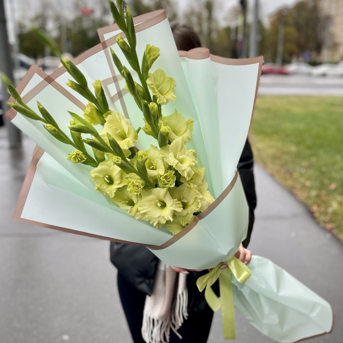 5 зеленых гладиолусов