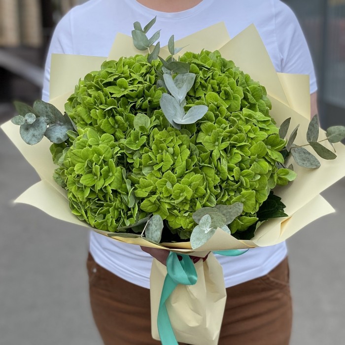 5 зеленых гортензий Дарк Грин с эвкалиптом