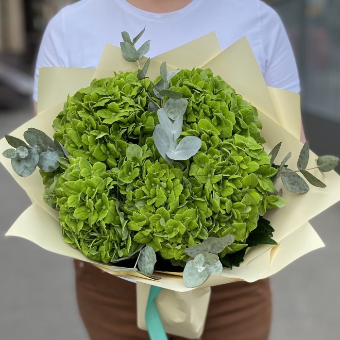 5 зеленых гортензий Дарк Грин с эвкалиптом