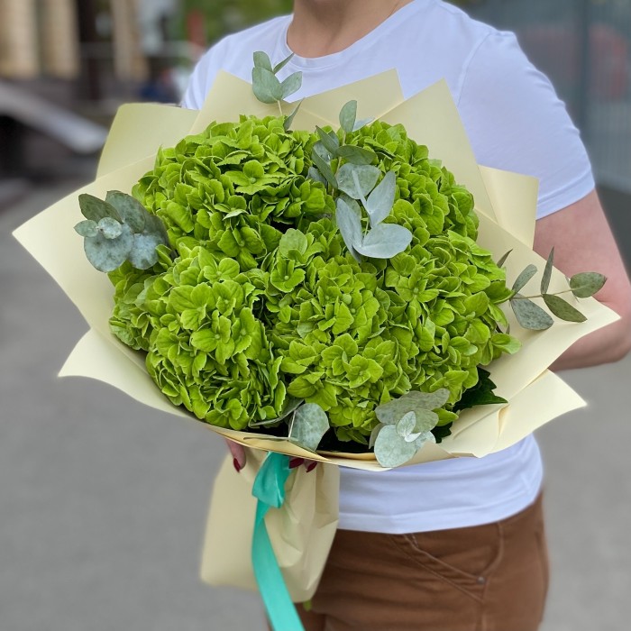 5 зеленых гортензий Дарк Грин с эвкалиптом