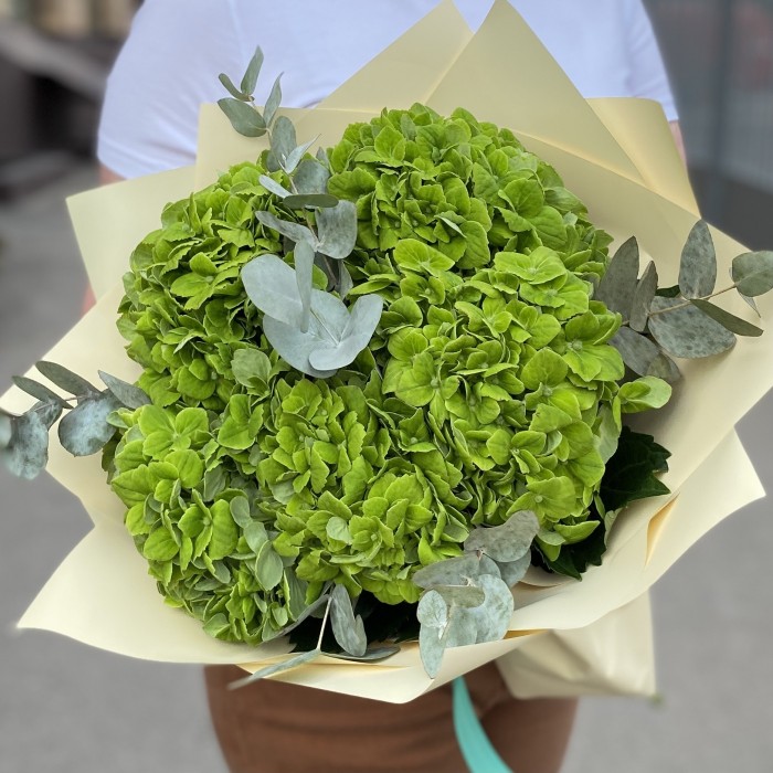 5 зеленых гортензий Дарк Грин с эвкалиптом