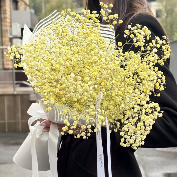 5 желтых гипсофил в упаковке