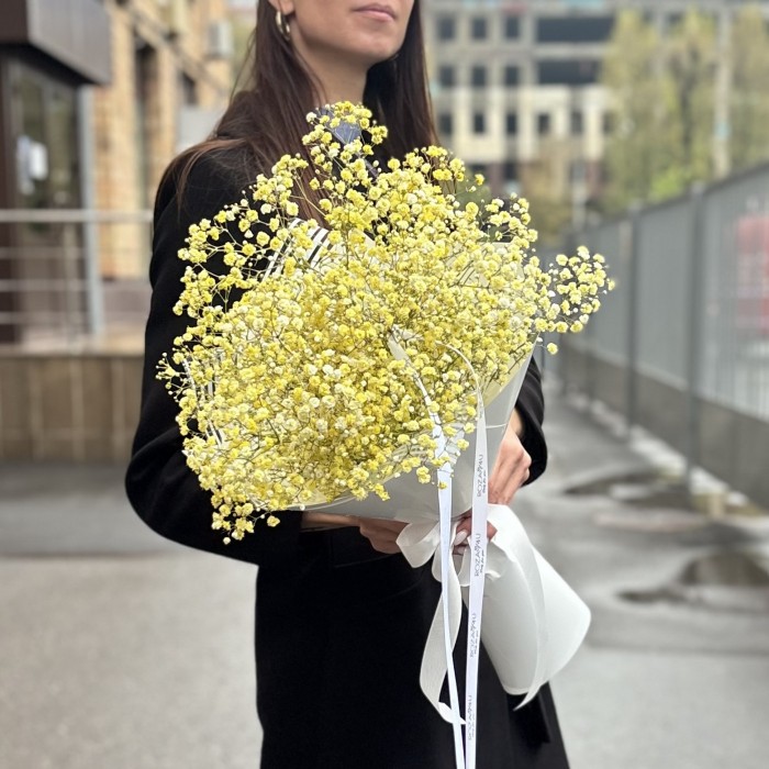 5 желтых гипсофил в упаковке