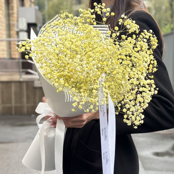 5 желтых гипсофил в упаковке