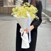 5 желтых гипсофил в упаковке