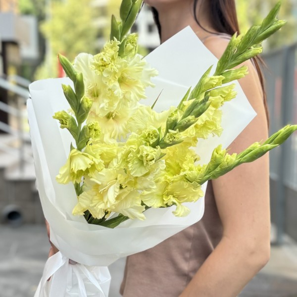 5 желтых гладиолусов