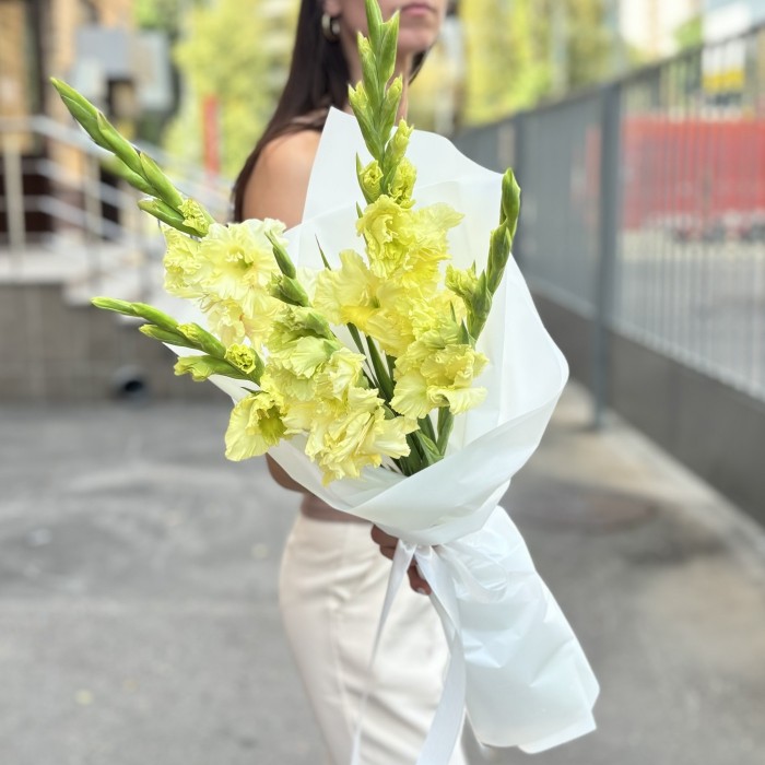 5 желтых гладиолусов