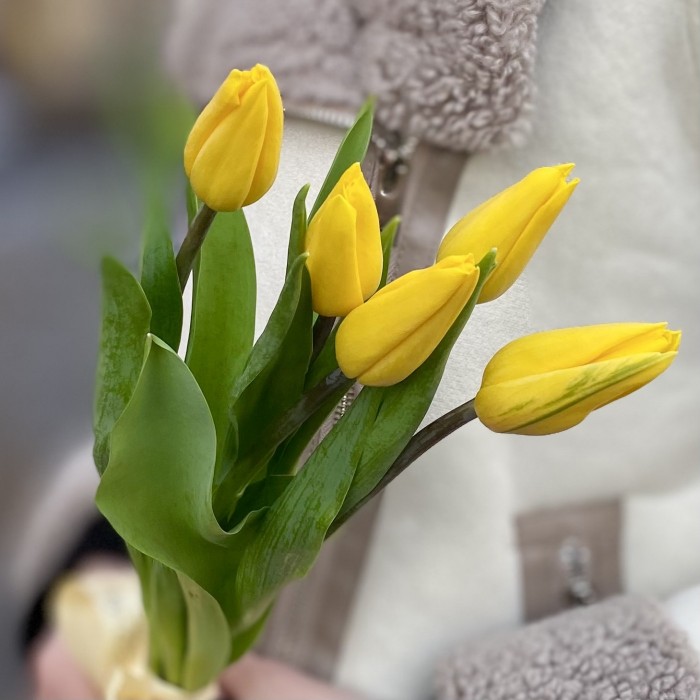 5 желтых тюльпанов с лентой