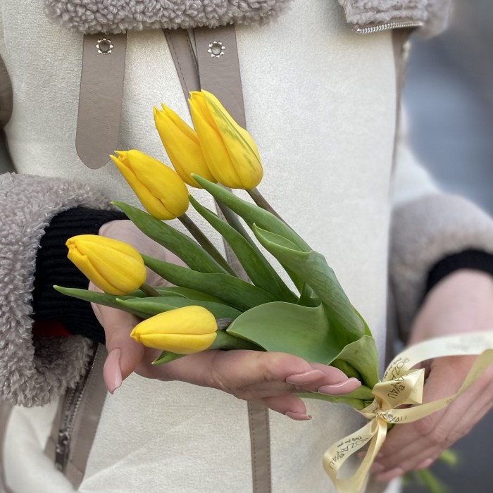 5 желтых тюльпанов с лентой
