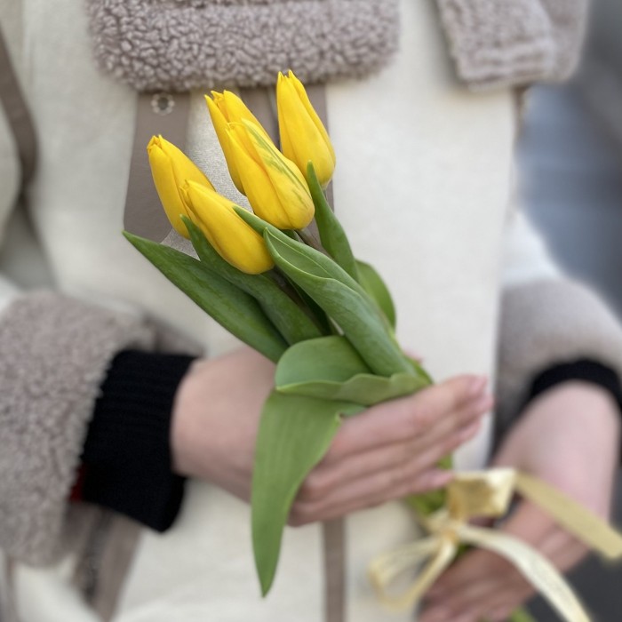 5 желтых тюльпанов с лентой