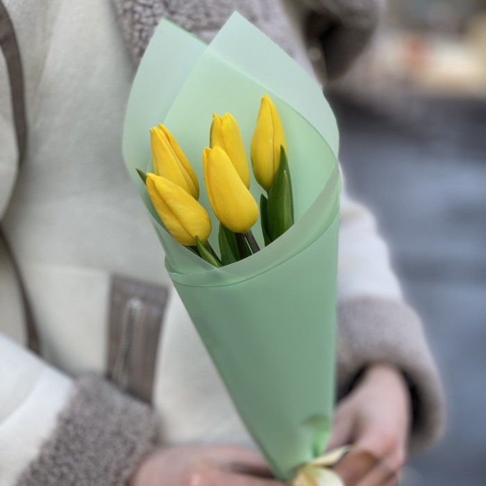 5 желтых тюльпанов в упаковке