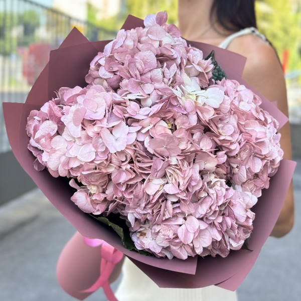 5 жемчужно-розовых гортензий