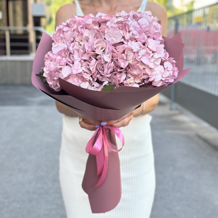 5 жемчужно-розовых гортензий