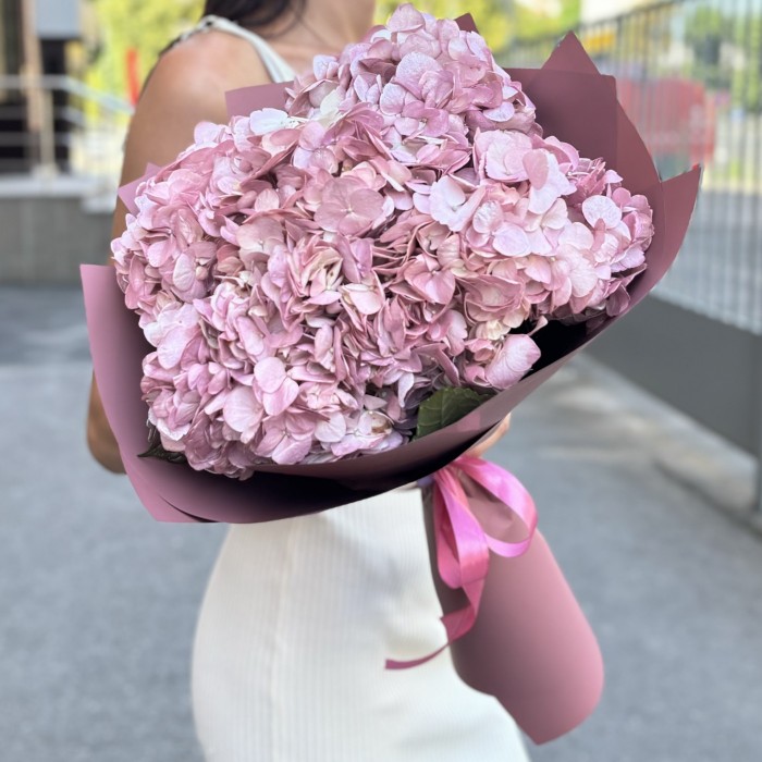 5 жемчужно-розовых гортензий