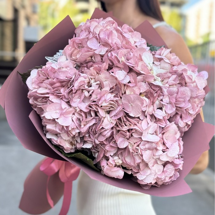 5 жемчужно-розовых гортензий