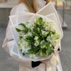 7 белых альстромерий