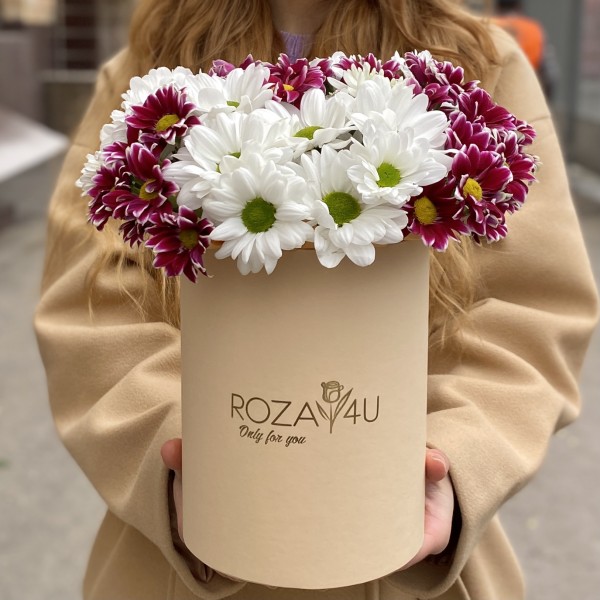 7 кустовых хризантем микс в коробке