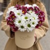 7 кустовых хризантем микс в коробке