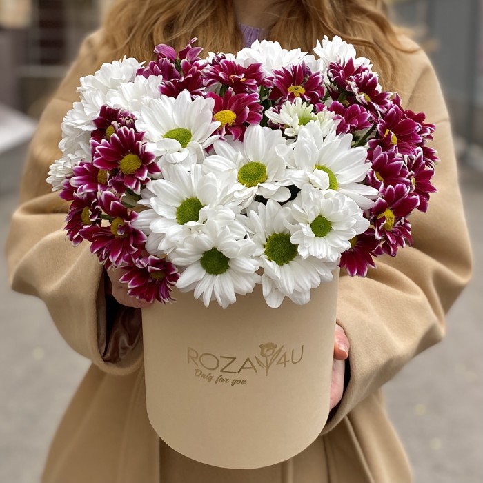 7 кустовых хризантем микс в коробке