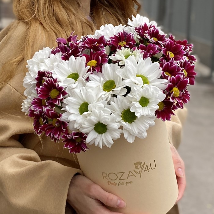 7 кустовых хризантем микс в коробке