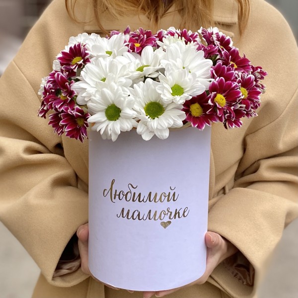 7 кустовых хризантем микс в коробке Любимой Мамочке