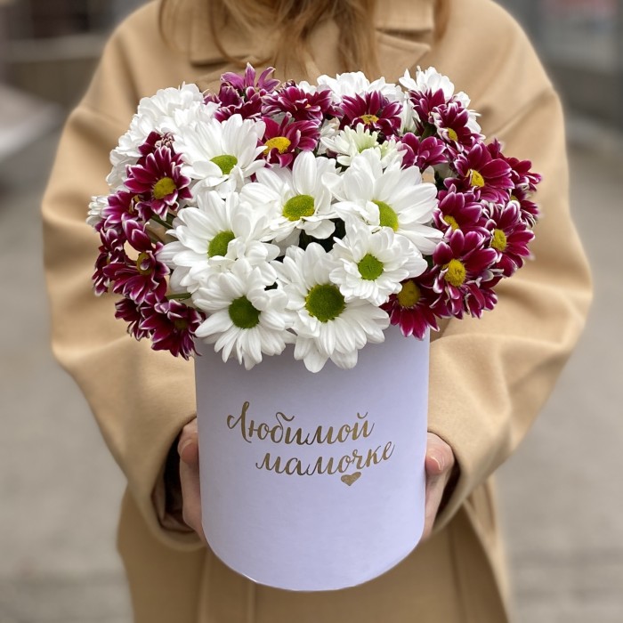 7 кустовых хризантем микс в коробке Любимой Мамочке