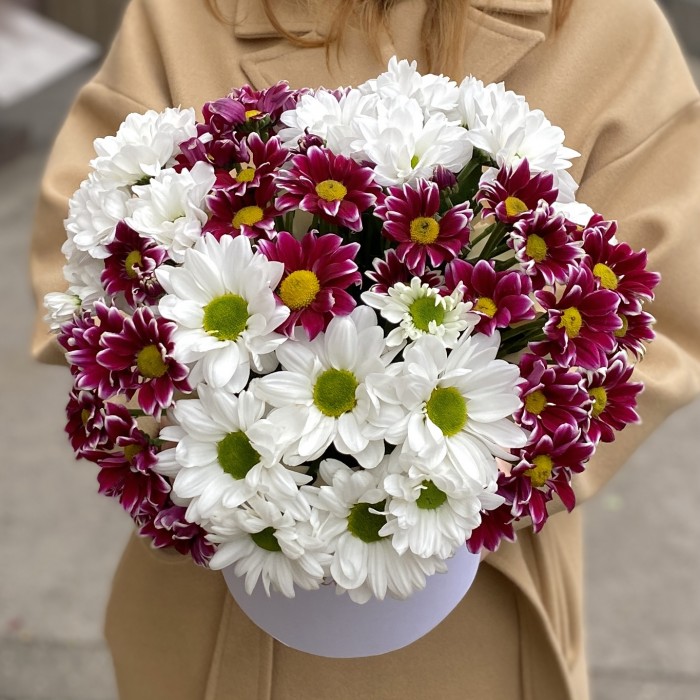 7 кустовых хризантем микс в коробке Любимой Мамочке