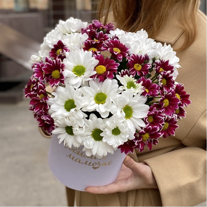 7 кустовых хризантем микс в коробке Любимой Мамочке