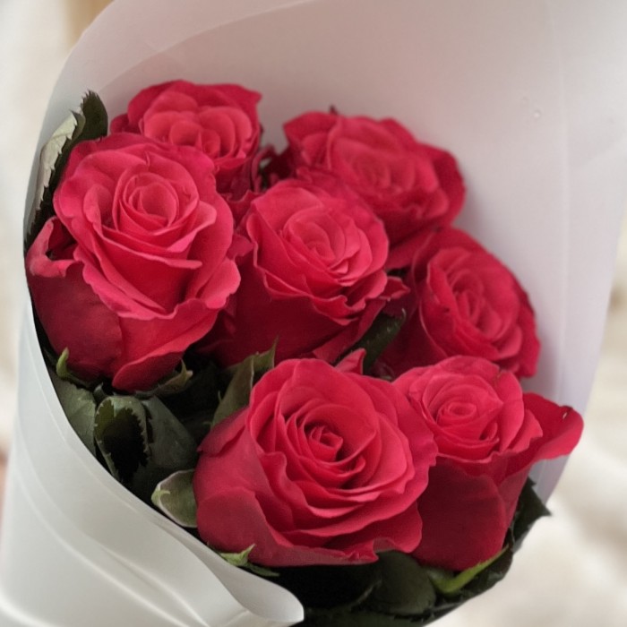 7 малиновых роз Такаци 50 см