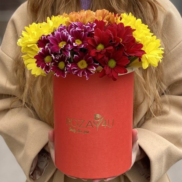 7 ярких кустовых хризантем микс в коробке