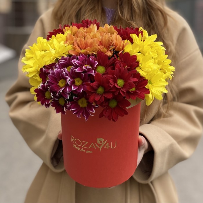 7 ярких кустовых хризантем микс в коробке