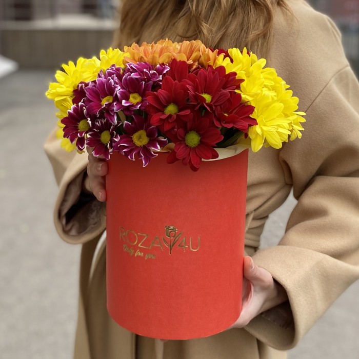 7 ярких кустовых хризантем микс в коробке